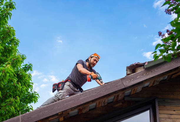 Best Green or Eco-Friendly Roofing Solutions  in Fairfax, VA